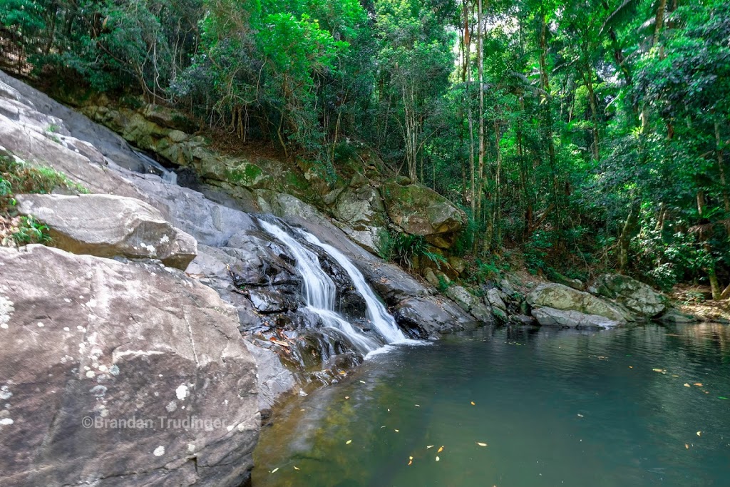 Cougal Cascade | park | Currumbin Valley QLD 4223, Australia