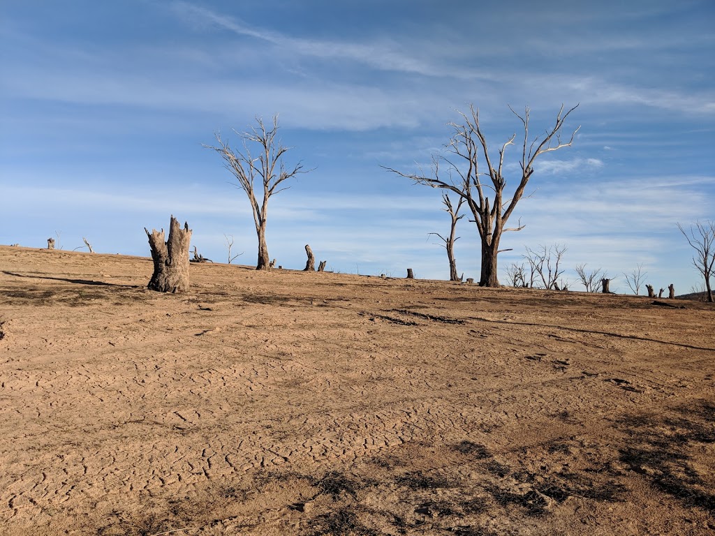 Eucumbene & Jindabyne Fishing Charters | 9 Rainbow St, Old Adaminaby NSW 2629, Australia | Phone: 0428 852 880