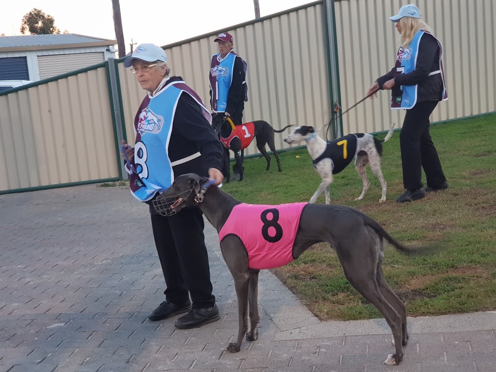 Ipswich Greyhound Racing Club Inc. | 81 Warwick Rd, Ipswich QLD 4305, Australia | Phone: (07) 3202 2977