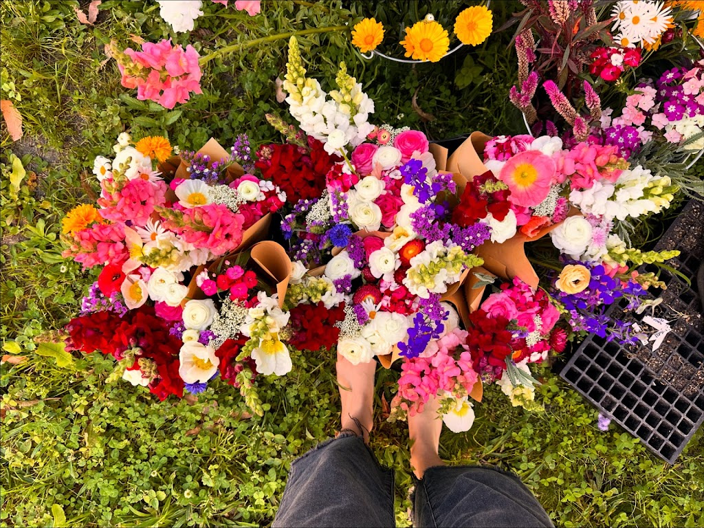 Flower Eros | Pinchin Rd, The Channon NSW 2480, Australia | Phone: 0457 729 862