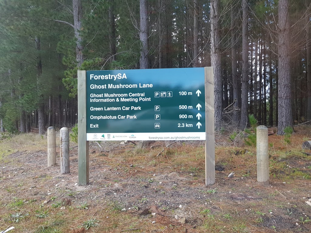 ForestrySA | park | 152 Jubilee Hwy E, Mount Gambier SA 5290, Australia | 0887242888 OR +61 8 8724 2888