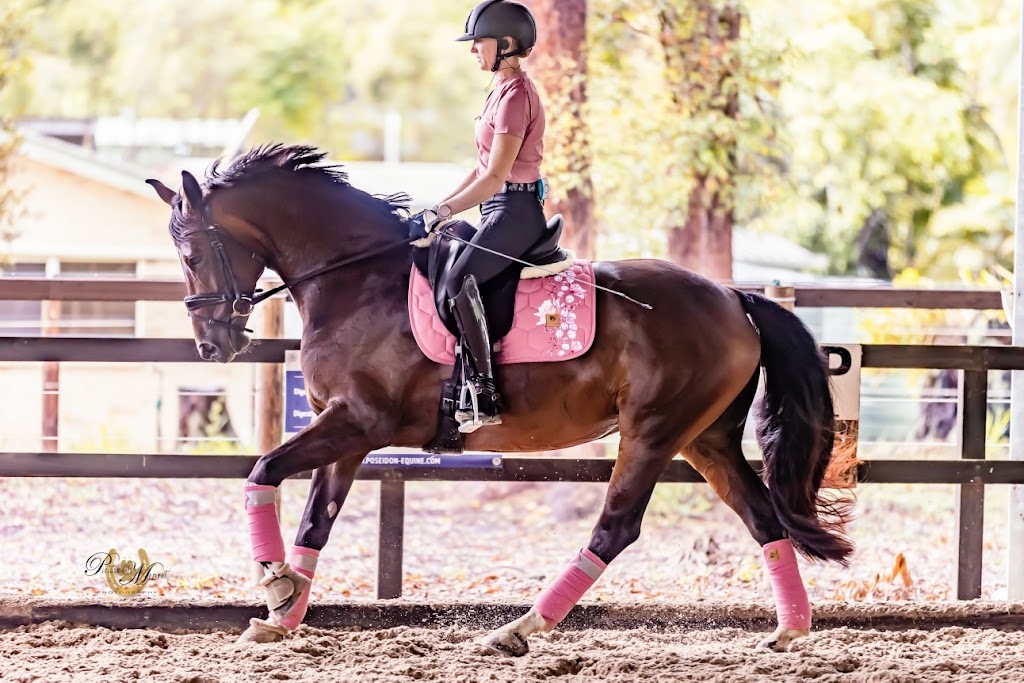 LL Equestrian | Bowers Rd, Hatton Vale QLD 4341, Australia | Phone: 0411 015 322