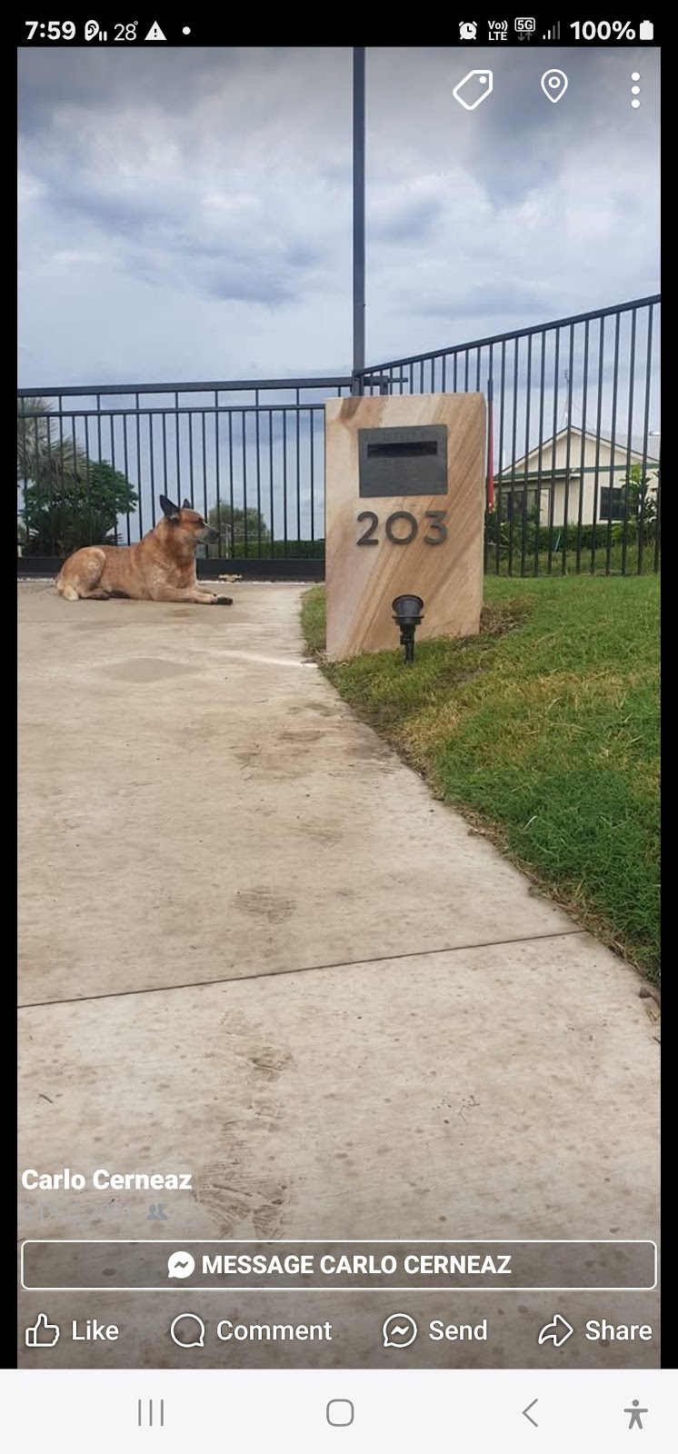 CERNEAZ | 203 Murphys Creek Rd, Postmans Ridge QLD 4352, Australia | Phone: 0407 303 320