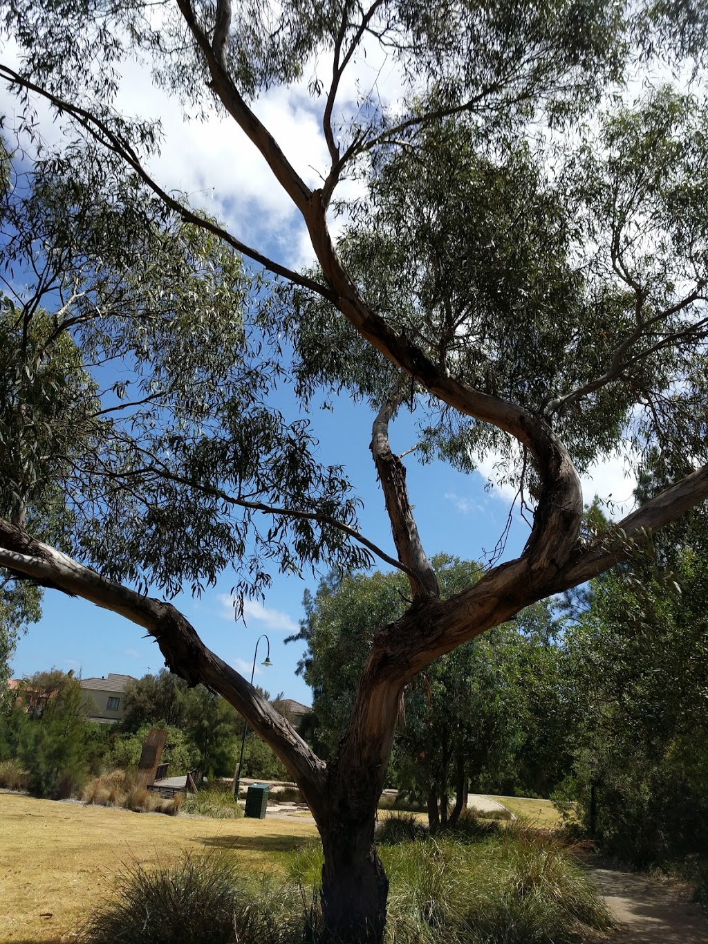 Mallanbool Reserve | park | 34 Winston Way, Murrumbeena VIC 3163, Australia