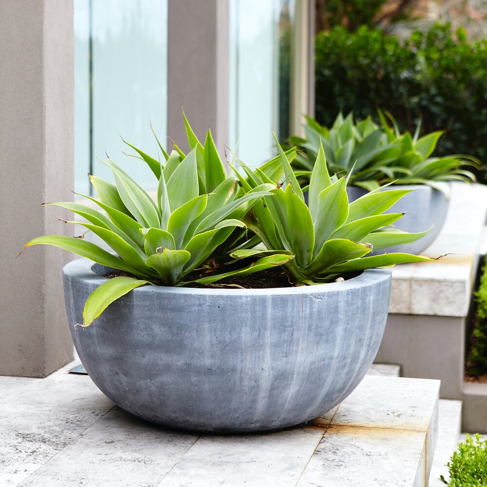 Tranquil Gardens Group | 256 Barrenjoey Rd, Newport NSW 2106, Australia | Phone: 0422 567 040