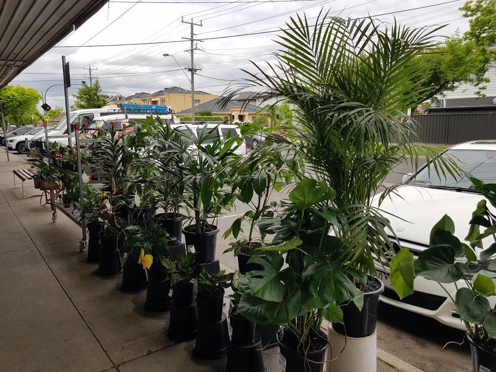 PLANTS R GO |  | 32 B Devon Rd, Pascoe Vale VIC 3044, Australia | 0413997593 OR +61 413 997 593