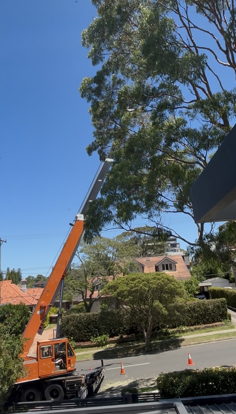Fast Call Tree Service | 21 Geraldine Ave, Baulkham Hills NSW 2153, Australia | Phone: 1800 800 206