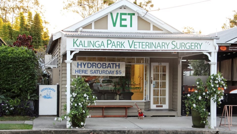 Kalinga Park Veterinary Surgery | 38 Shaw Rd, Wooloowin QLD 4030, Australia | Phone: (07) 3357 1588