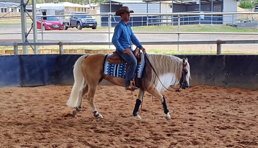 FHT Equine | 26 McNairn Rd, Crows Nest QLD 4355, Australia | Phone: 0402 581 423