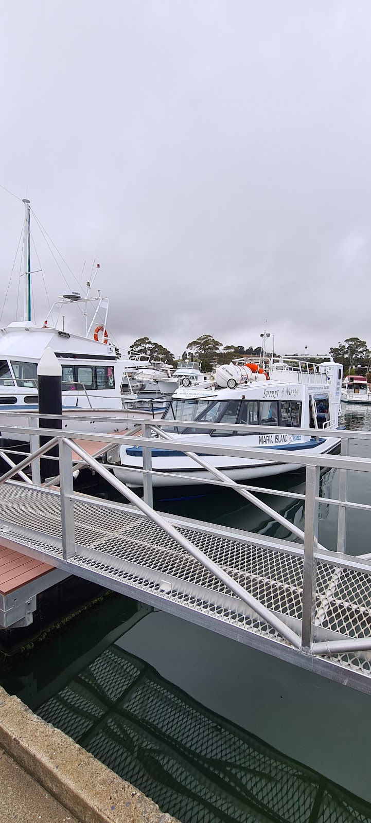 MARIA ISLAND CRUISES | 21 Vicary St, Triabunna TAS 7190, Australia | Phone: (03) 6257 1300