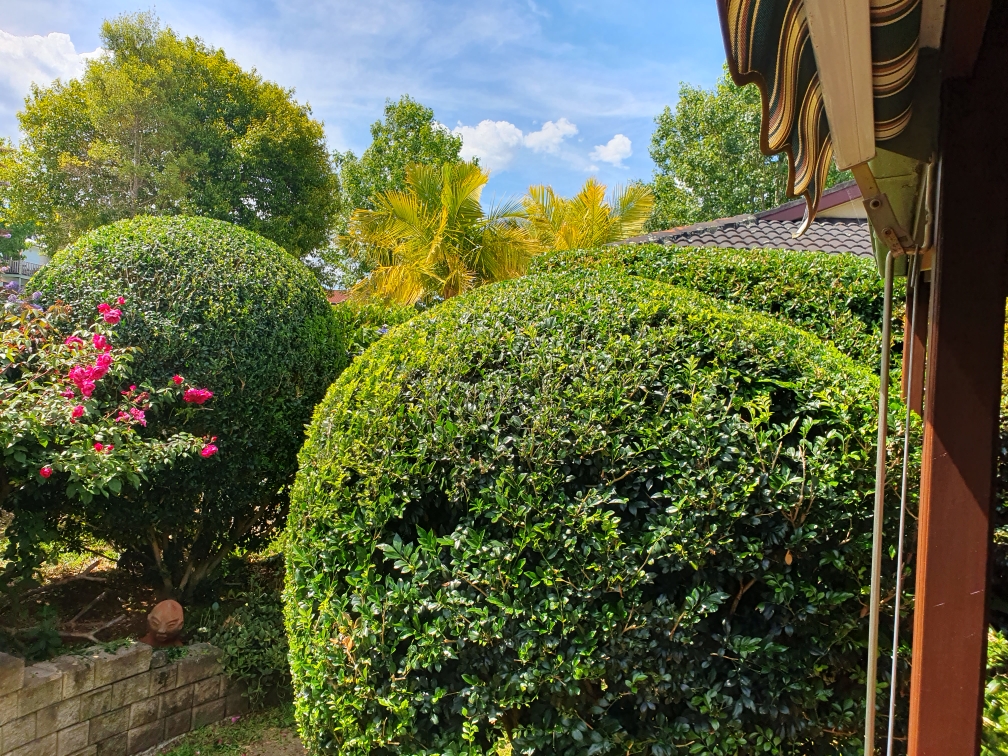 Tuross Head Handyman | 3 Swordfish St, Tuross Head NSW 2537, Australia | Phone: 0438 442 200