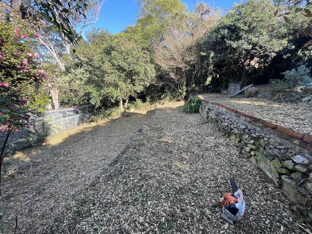 EziClip Tree Service | 14 Fernleigh Pl, New Lambton Heights NSW 2305, Australia | Phone: 0472 977 737