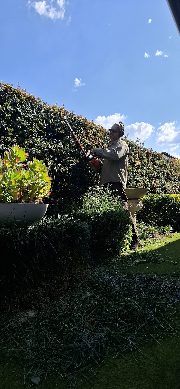 Sweeter with Honey | 779 Murphys Creek Rd, Upper Lockyer QLD 4352, Australia | Phone: 0493 241 246