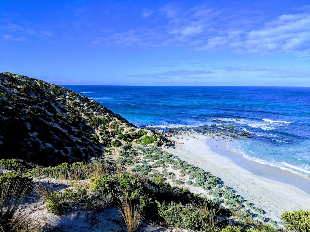 Seal Bay Conservation Park | Seal Bay Rd, Seal Bay SA 5221, Australia | Phone: (08) 8553 4463