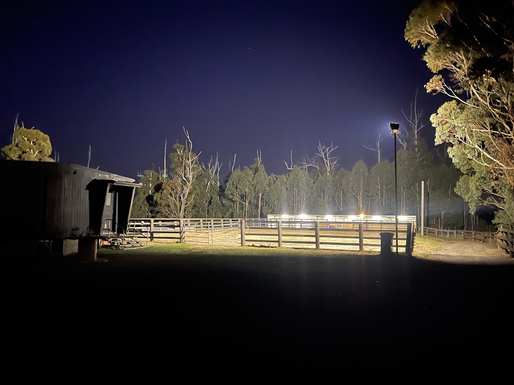 Bayview campn horse trails | 75 Bayview Rd, Jindivick VIC 3818, Australia | Phone: 0424 786 158