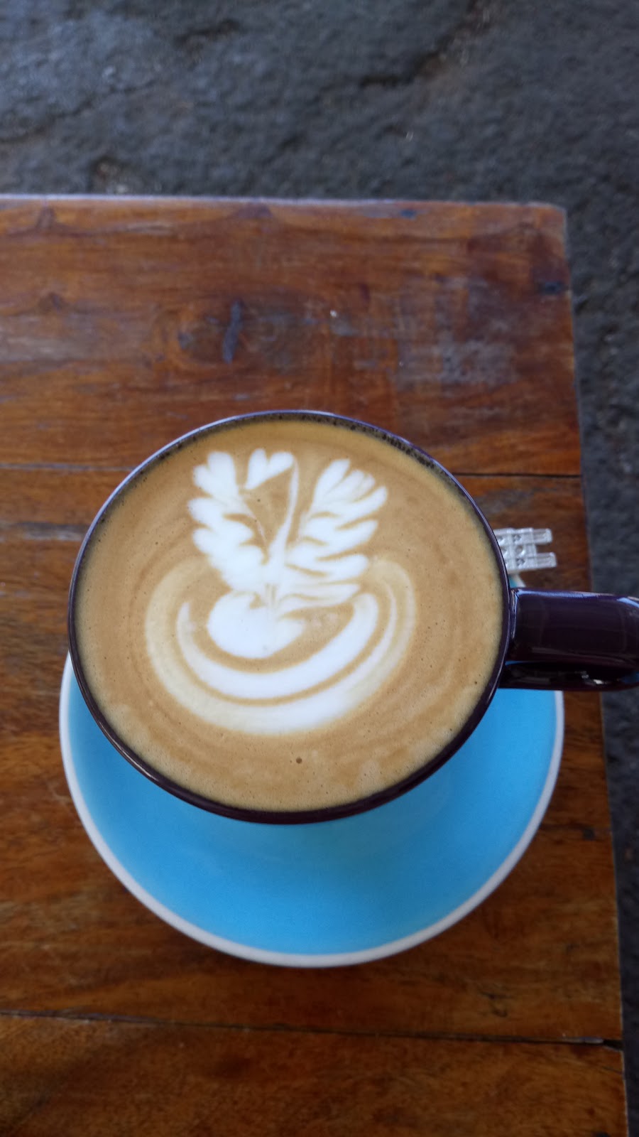 The Birds And The Beans | cafe | 114 Burnett St, Buderim QLD 4556, Australia
