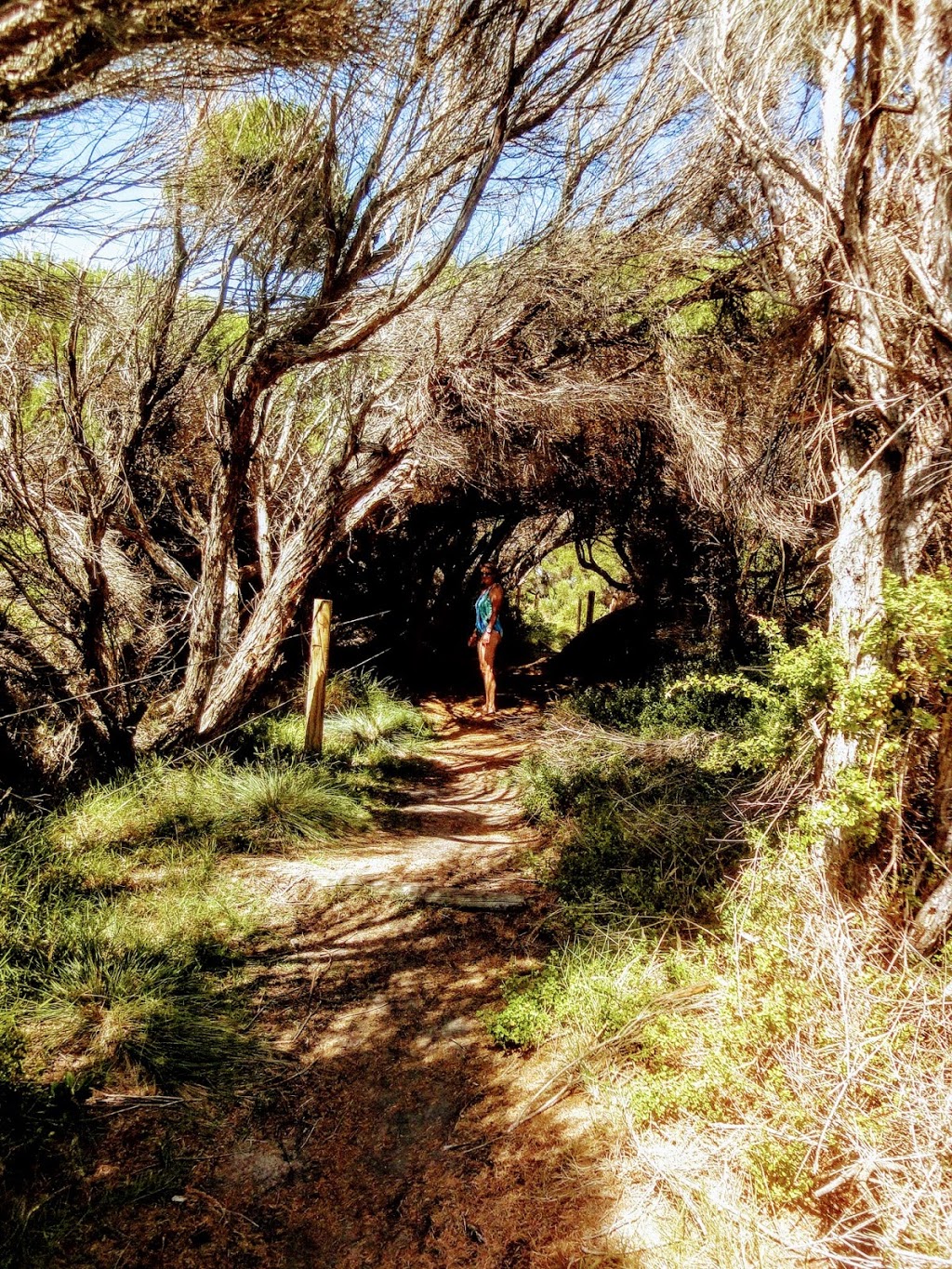 Sandy Creek Walking Track | park | Sandy Creek loop trail, Bournda NSW 2548, Australia