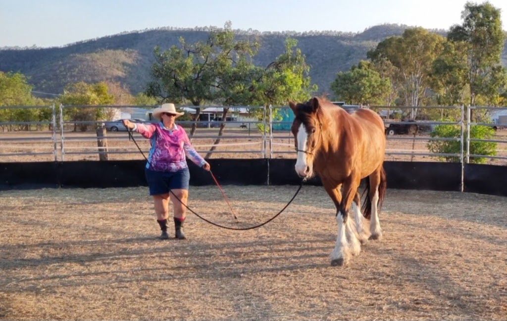 Dusty Boots Equine Assisted Learning | 23 Webb Rd, Bouldercombe QLD 4702, Australia | Phone: 0408 251 968