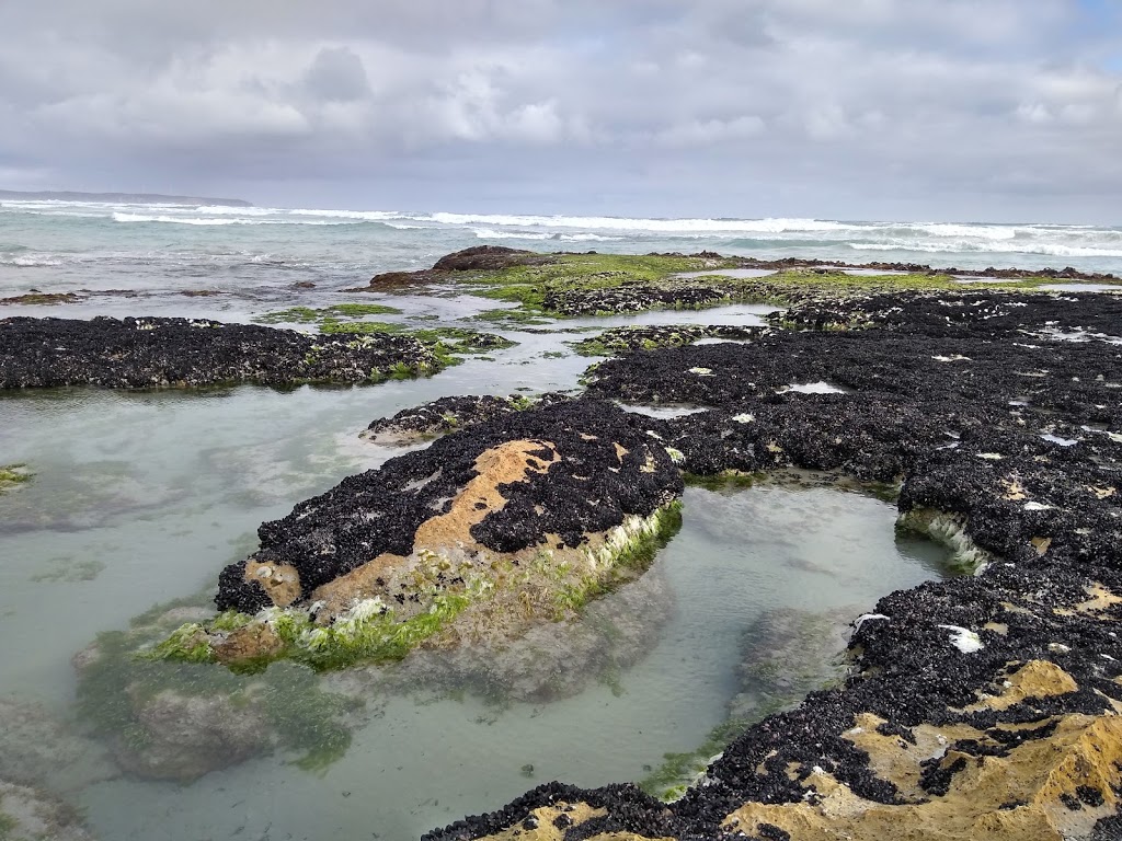 Shelly Beach Retreat | 1363 Bridgewater Rd, Cape Bridgewater VIC 3305, Australia | Phone: (03) 5523 1577