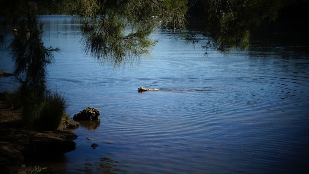 Great River Walk | Bruce Neale Dr, Penrith NSW 2750, Australia | Phone: 1300 736 836