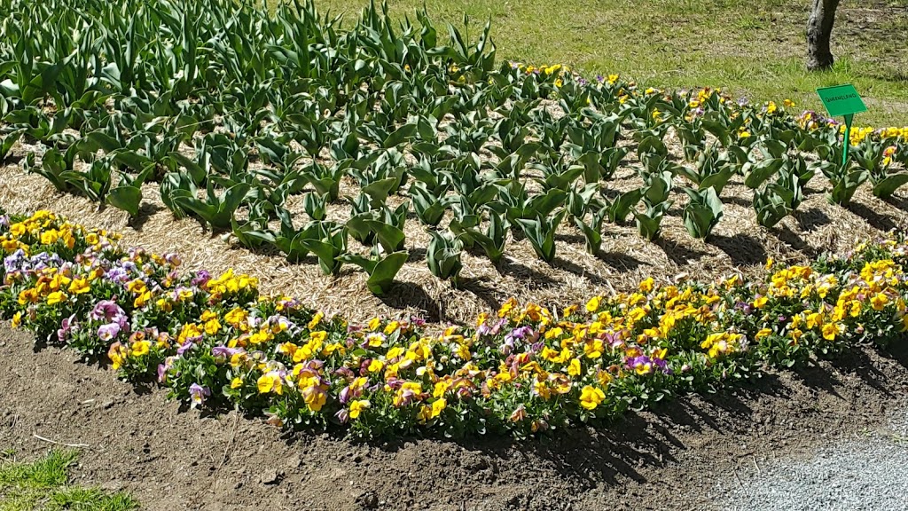Tulip Top Gardens | park | 20 Old Federal Highway Sutton, Bywong NSW 2621, Australia | 0262303077 OR +61 2 6230 3077