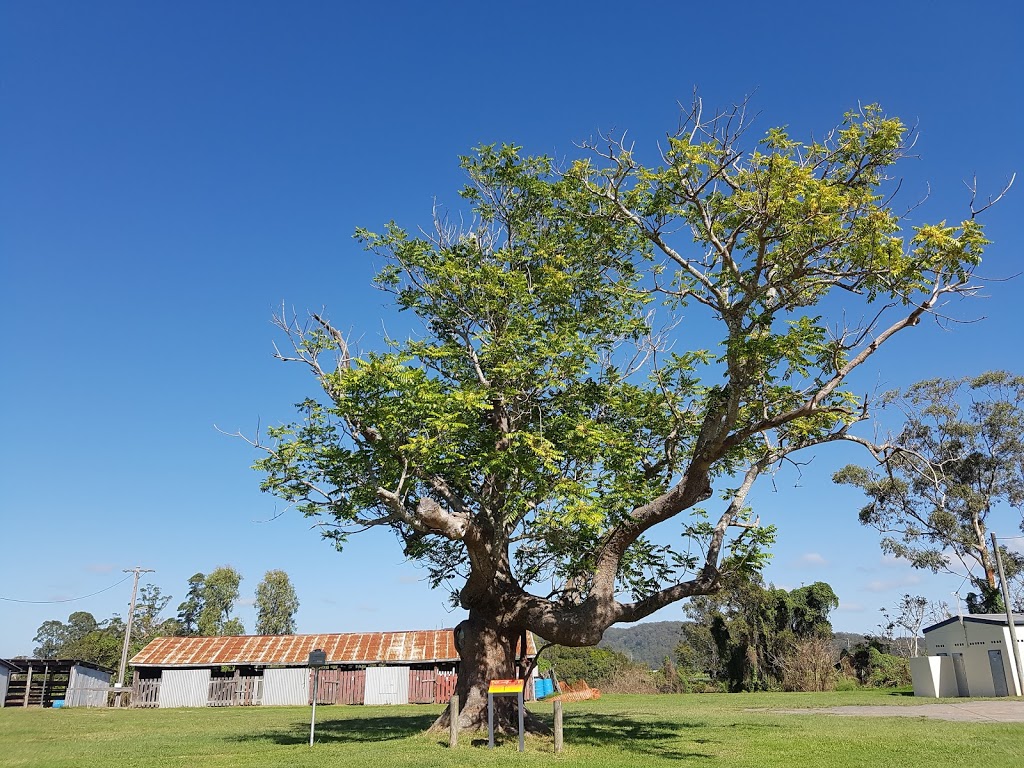 Maclean-Lower Clarence Services Club | 38 River St, Maclean NSW 2463, Australia | Phone: (02) 6645 2946