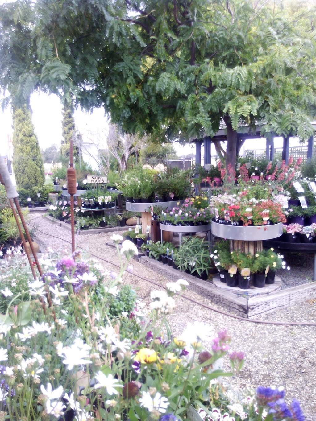 Sorell Nursery and Landscape Supplies | 139 Main Rd, Sorell TAS 7172, Australia | Phone: (03) 6291 1084