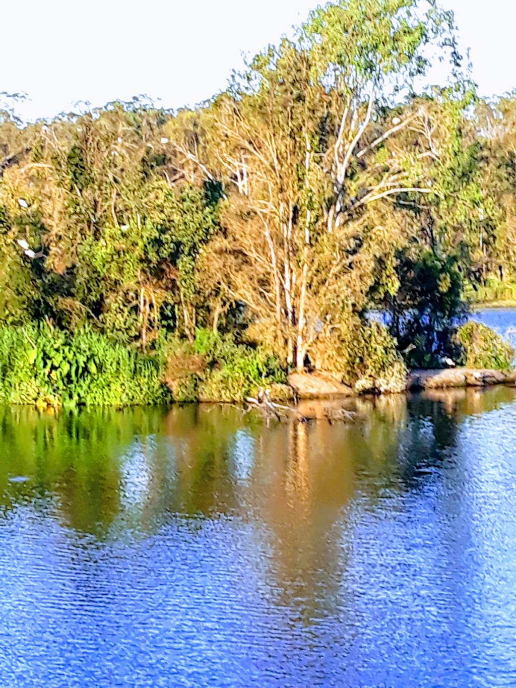 In Shape Outdoors - Berrinba / Browns Plains | Wayne Goss Dr, Browns Plains QLD 4118, Australia | Phone: 0409 050 006