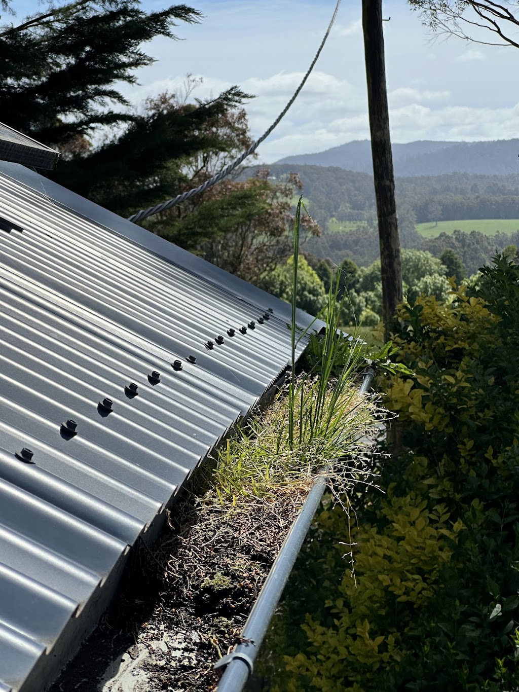 Lyrebird Outdoor Cleaning | 1615 Old Sale Rd, Buln Buln East VIC 3821, Australia | Phone: 0422 109 629