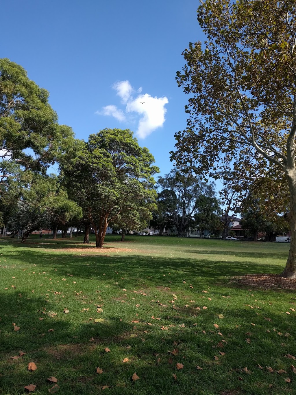Arncliffe Park | park | 71A Wollongong Rd, Arncliffe NSW 2205, Australia