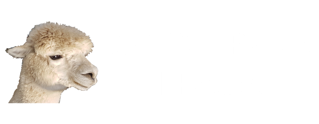 Candlebark Alpacas | 42 Parsons Rd, Inman Valley SA 5211, Australia | Phone: 0410 476 543