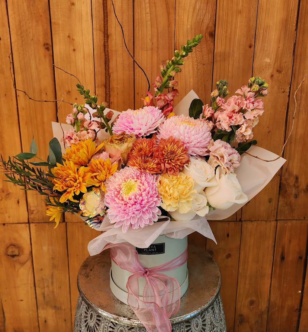 Maya Plant | 27 Riverview Dr, Kialla VIC 3631, Australia | Phone: 0450 404 355