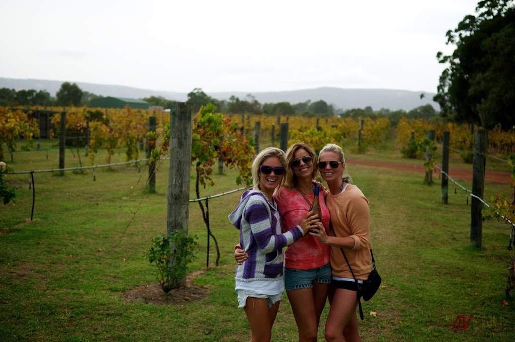 Ugly Duckling Wines | tourist attraction | 7790 W Swan Rd, West Swan WA 6055, Australia | 0428349855 OR +61 428 349 855