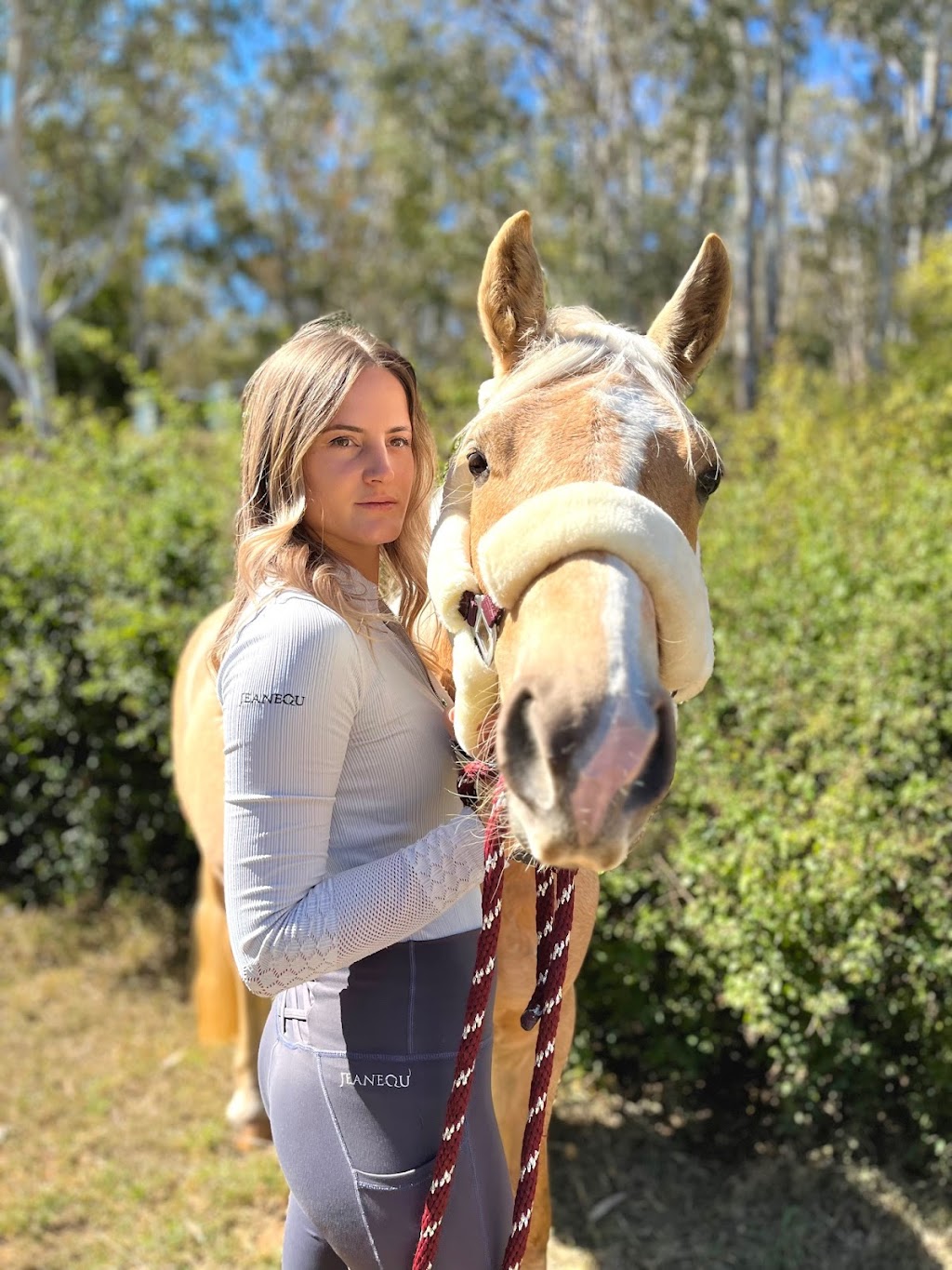 Equi-Guard | 300 Dixons Ln, Ramsay QLD 4358, Australia | Phone: 0488 787 616 Equi-Guard | 300 Dixons Ln, Ramsay QLD 4358, Australia | Phone: 0488 787 616