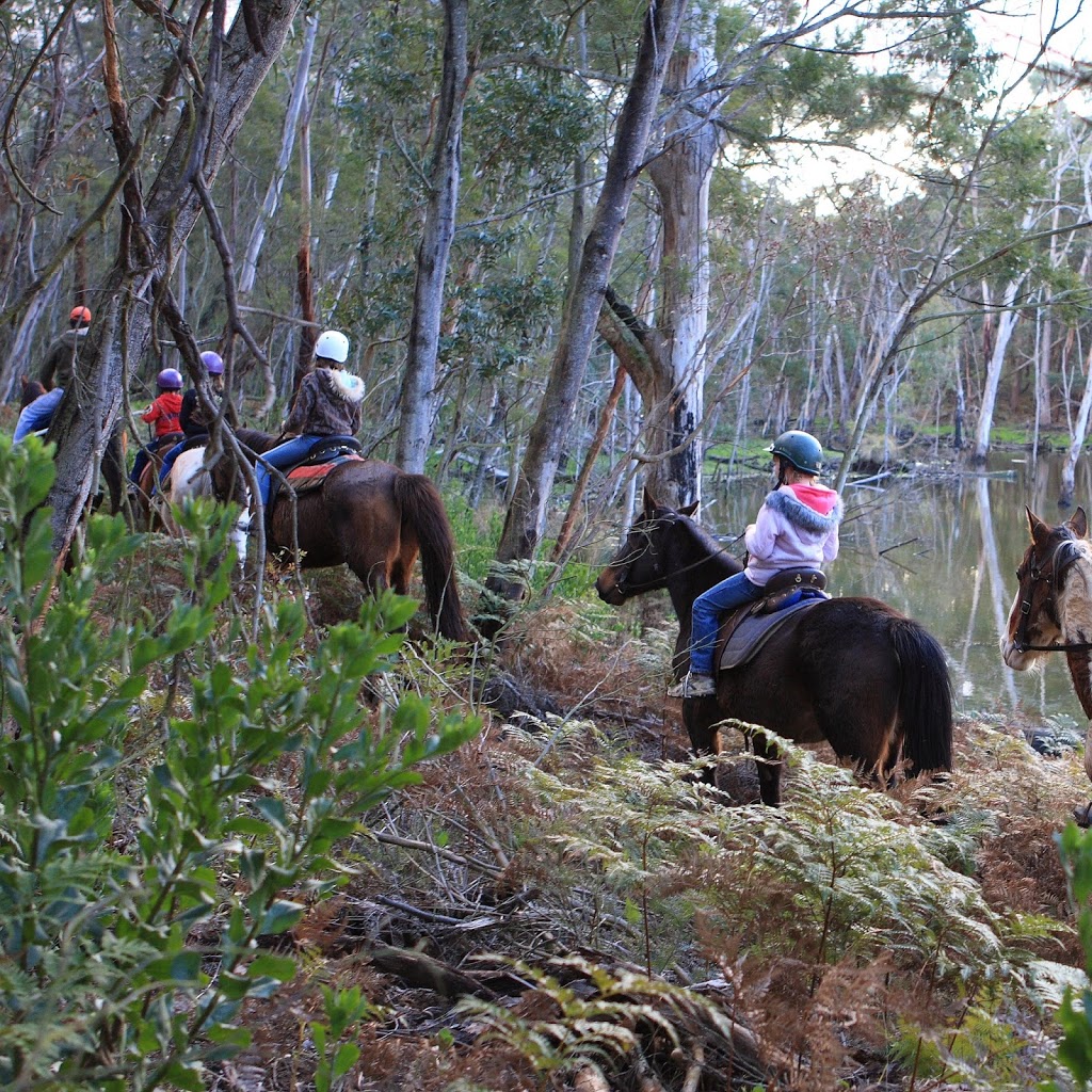 Spring Creek Horse Rides | travel agency | 245 Portreath Rd, Bellbrae VIC 3228, Australia | 0423456922 OR +61 423 456 922