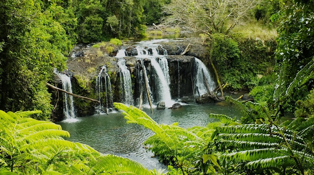 Wallicher Falls | Palmerston Hwy, Wooroonooran QLD 4860, Australia | Phone: 13 74 68