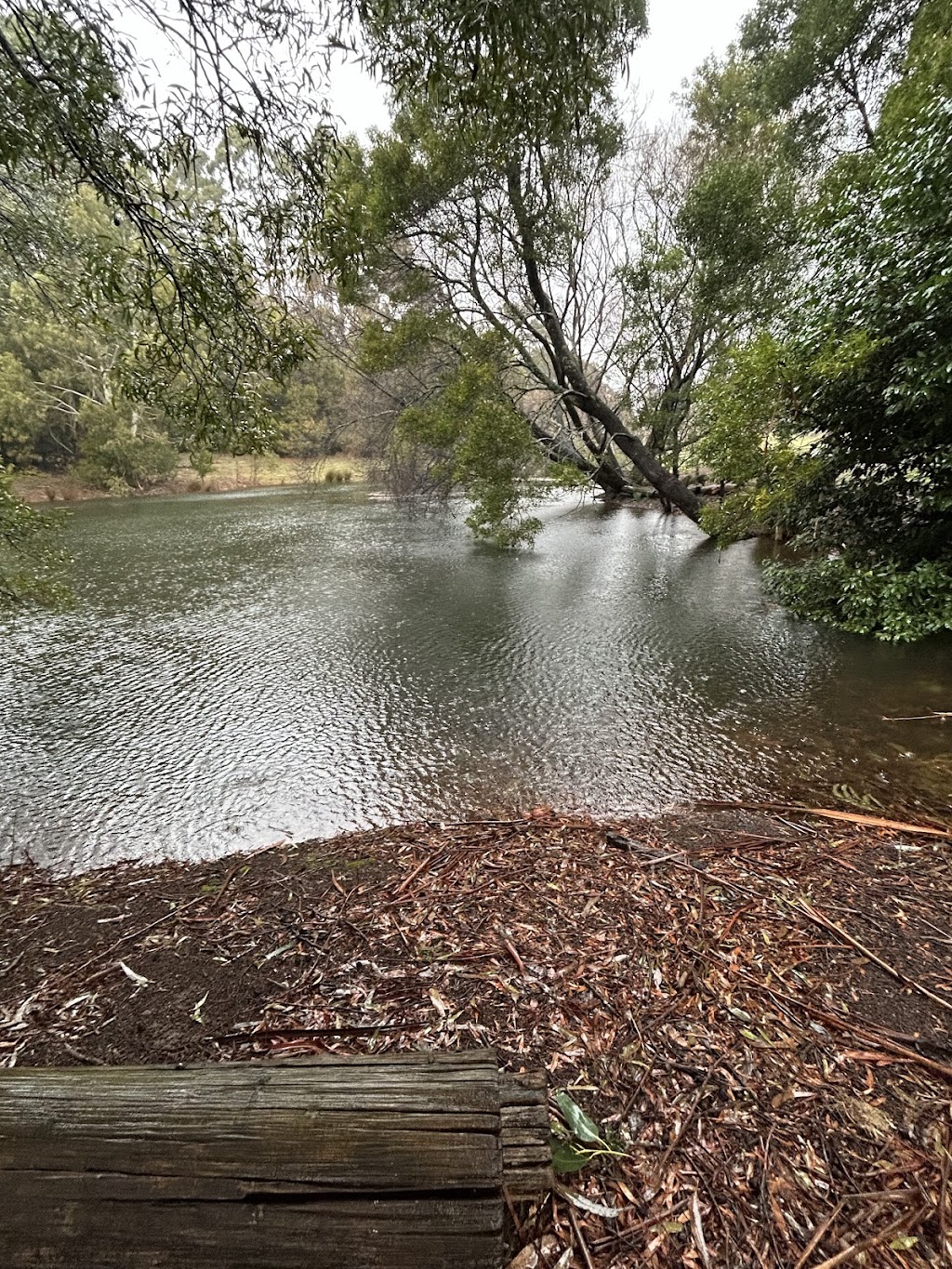 Clarries Track | 20 Donald Lane, Newbury VIC 3458, Australia | Phone: 0419 682 391