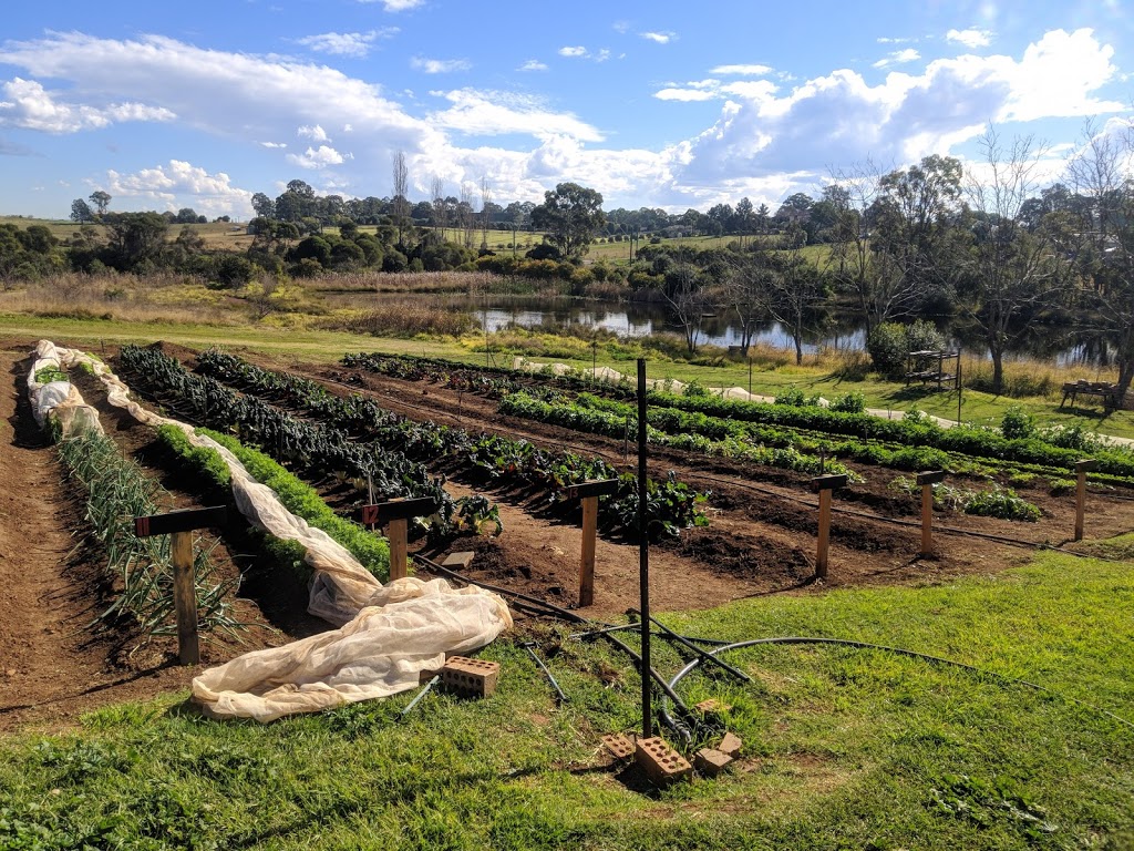 Cana Farm | 100 Kingswood Rd, Orchard Hills NSW 2748, Australia | Phone: 0478 595 725