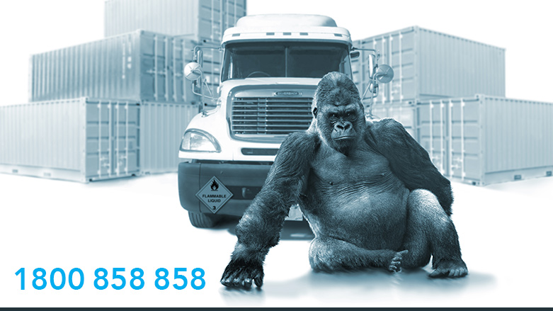 Silverback Cargo Care | 1/12 Boolarra St, Hemmant QLD 4174, Australia | Phone: 1300 858 858