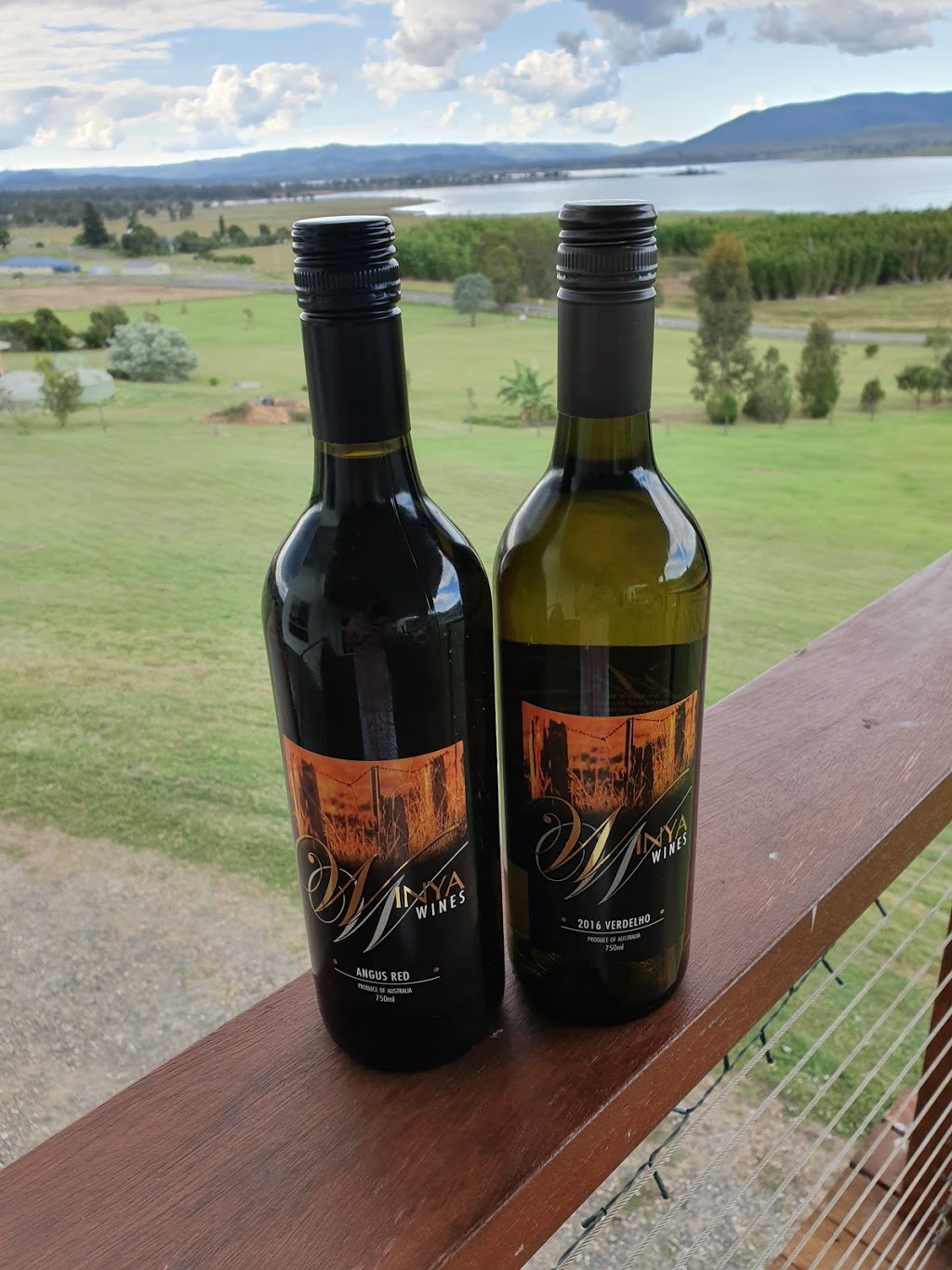 Winya Wines | tourist attraction | 145 Sandy Creek Rd, Sandy Creek QLD 4515, Australia | 0418666073 OR +61 418 666 073