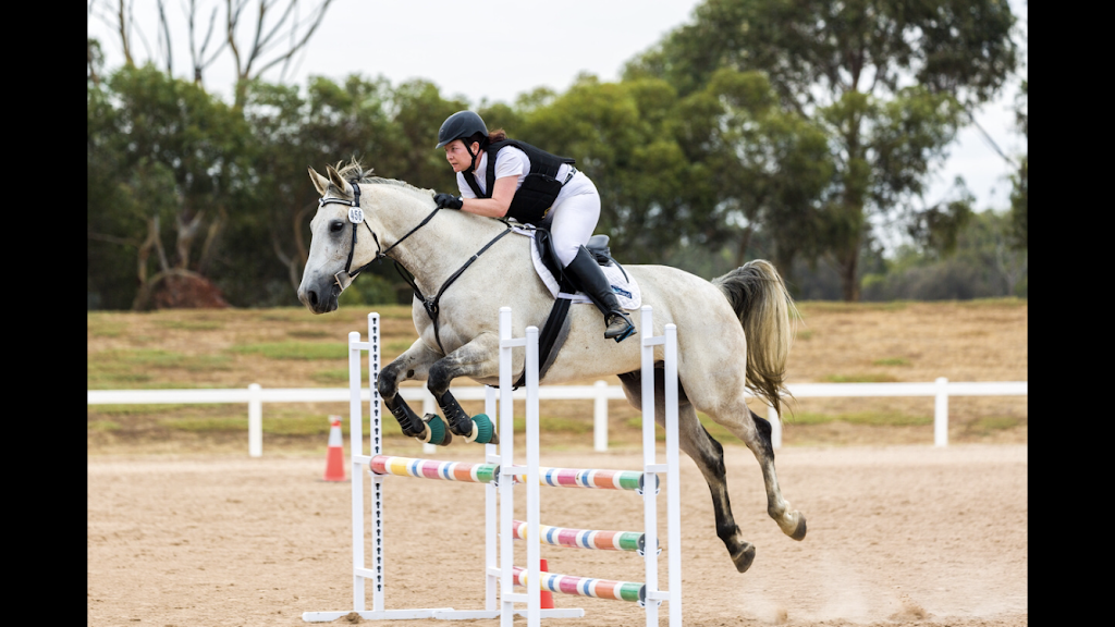 Winsley Park Equestrian | 344 Deenicull Creek Rd, Cathcart VIC 3377, Australia | Phone: 0428 995 333