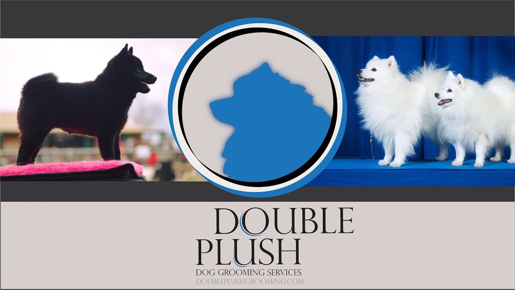 Double Plush Grooming | Sunray Ct, Eltham VIC 3095, Australia | Phone: 0433 921 290