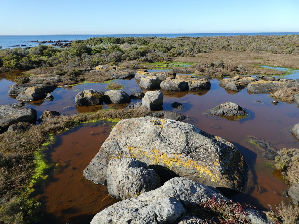 Jawbone Flora and Fauna Reserve | 29 Sandpiper Pl, Williamstown VIC 3016, Australia | Phone: 13 19 63