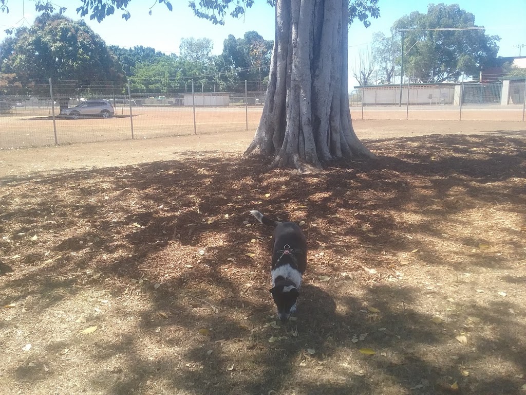 Mareeba Dog Park | park | 5 Dickenson Cl, Mareeba QLD 4880, Australia