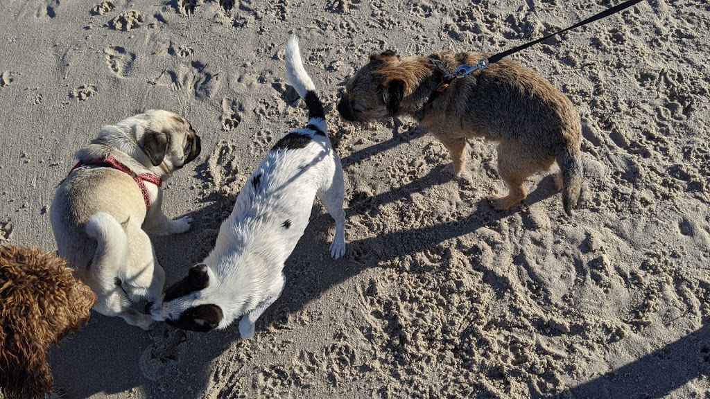 Animal Exercise Beach | Hillarys WA 6025, Australia