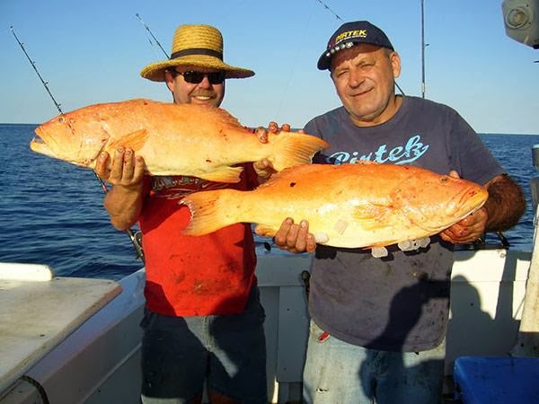 Kona Fishing and Cruising Charters |  | 52 Ocean Parade, Cooee Bay QLD 4703, Australia | 0408459717 OR +61 408 459 717