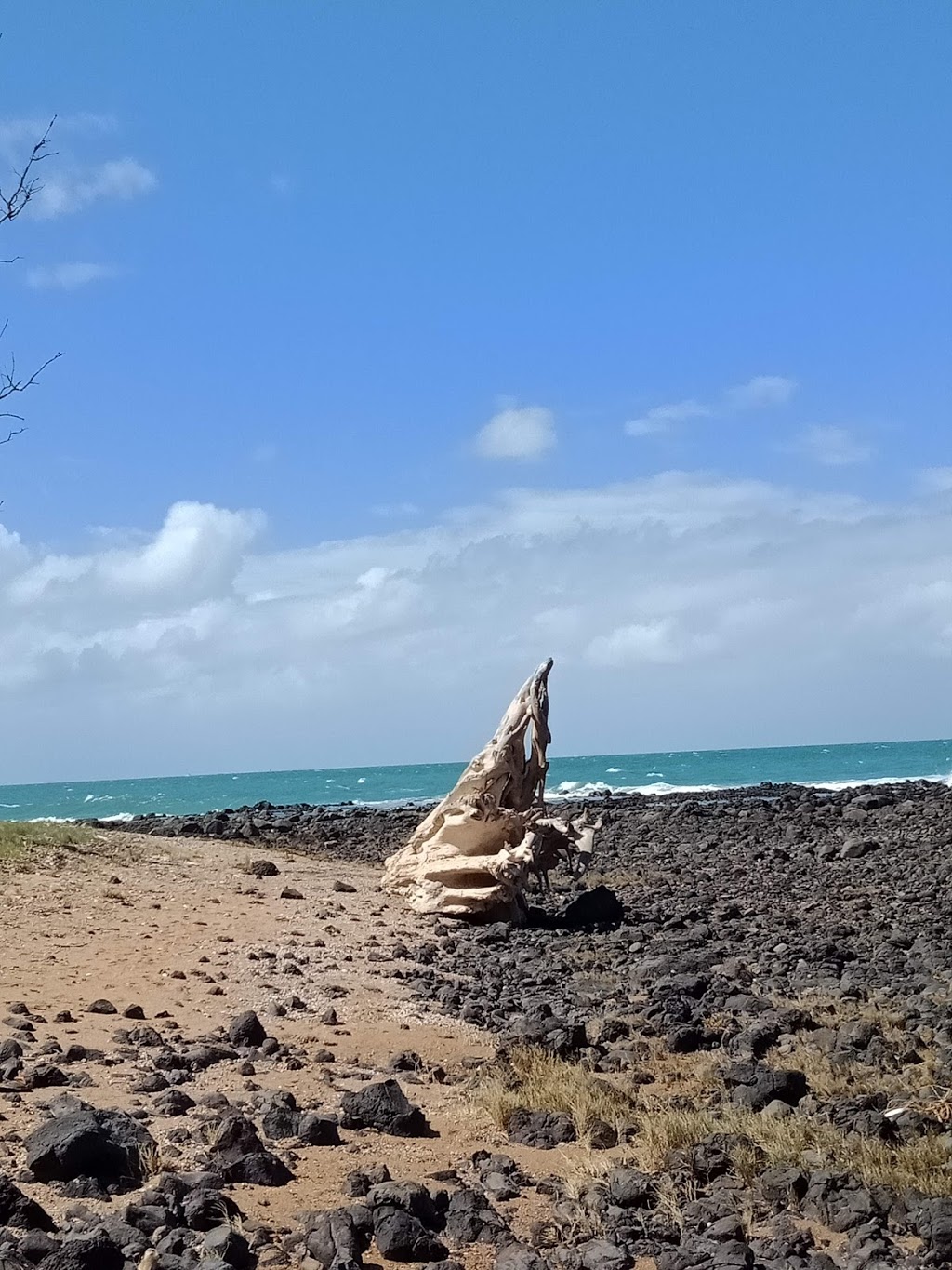 Mon Repos Conservation Park | park | Mon Repos Rd, Mon Repos QLD 4670, Australia