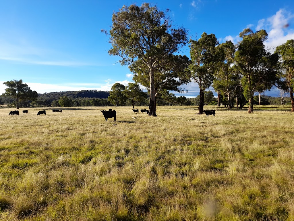 Parlour Mountain Farm, run by Hempel Enterprises Pty Ltd | 3206 Boorolong Rd Parlour Mountain Farm, Boorolong NSW 2350, Australia | Phone: 0407 755 888