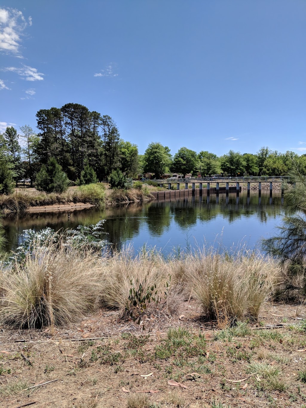 Lyneham Wetlands | park | Goodwin St, Lyneham ACT 2602, Australia