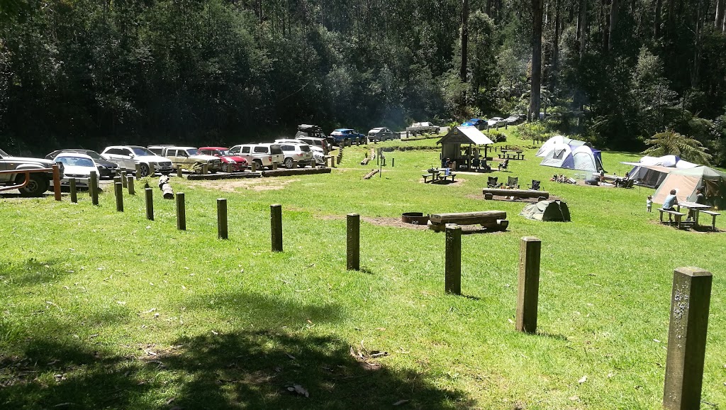 Starlings Gap campground | park | Big Creek Rd, Ada VIC 3833, Australia